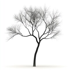 Obraz premium A modern artistic tree design, isolated on white, with sharp, clean lines and creative structure