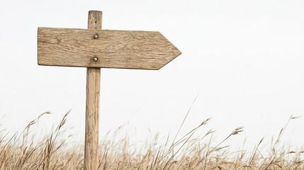 Wooden arrow signpost in a field, isolated on white background.