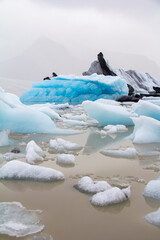 Icelandic bright blue iceberg in the water 