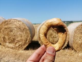 Tarallo sovrapposto a balla di fieno forma circolare cilindro natura perfezione contadino mantiene taralli