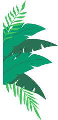 Fototapeta premium Greenery tropical leaves decoration