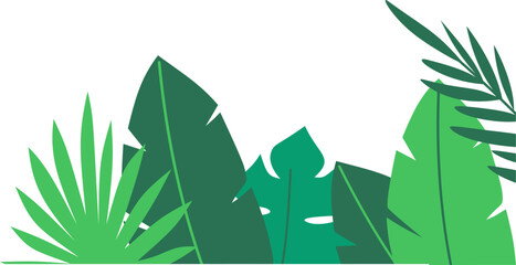 Greenery tropical leaves decoration