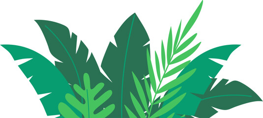 Greenery tropical leaves decoration