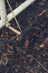 Pile of dirty and falling leaf on ground with steel wheel in close on garden