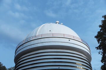 Fototapeta premium Modern architectural design featuring a striking white dome atop a building with a tree standing gracefully in the foreground