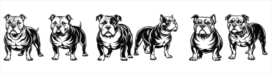 English bulldog vector set