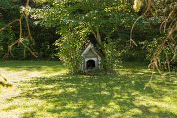 Dog house in the forest