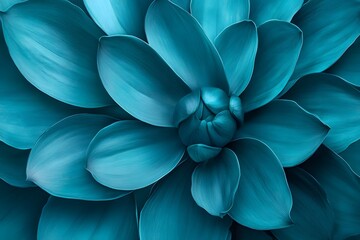 Teal Flower Macro Photography