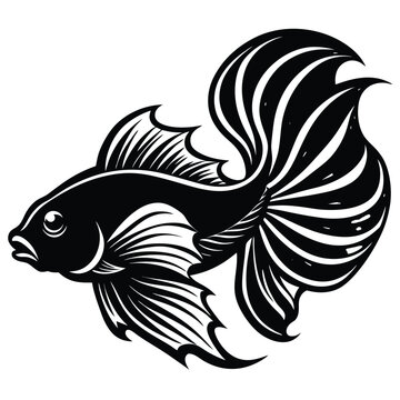 recommend clip art: Adobe Illustrator BETTA fish vector icon design template ideaArtwork
