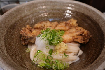 Japanese Food, Cold Udon Noodle with Fried Mushroom Tempura - 日本料理 まいたけの天ぷら 冷やしうどん
