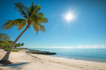 Obraz premium Sunny beach with palm trees under clear blue sky, calm waters and sandy shore, capturing the beauty of summer in an exotic tropical location with a lone coconut tree swaying in the breeze.