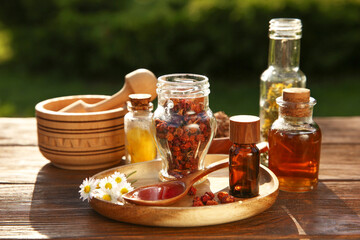 Different tinctures, ingredients, mortar and pestle on wooden table outdoors