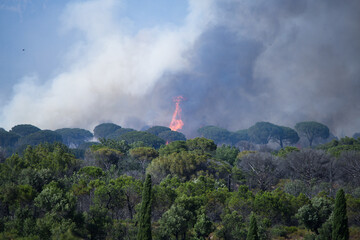 Wildfire in the Massifs des Maures, South of France
