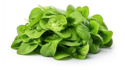 Fresh Green Spinach Leaves