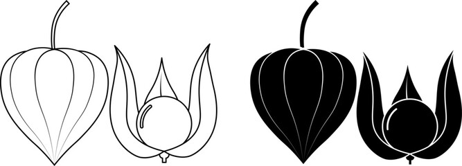 outline silhouette Physalis fruit icon set © Sutana