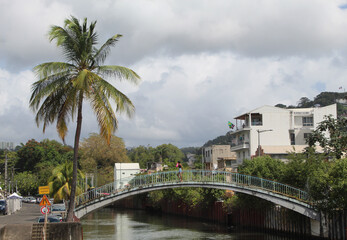 Woman walking on a foot bridge at Canal Levassor with single palm tree in Fort-de-France, Martinique