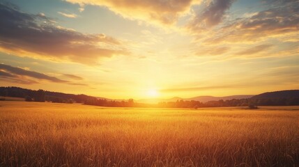 Fototapeta premium Peaceful golden sky at dusk, with soft clouds and warm tones casting a calming light over a rural field