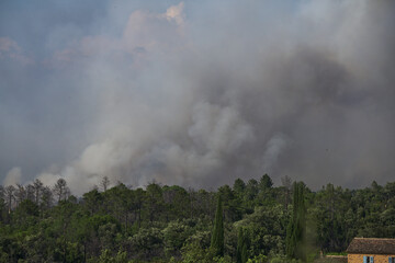 Wildfire in the Massifs des Maures, South of France