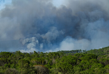 Wildfire in the Massifs des Maures, South of France