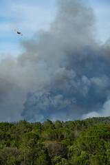 Wildfire in the Massifs des Maures, South of France
