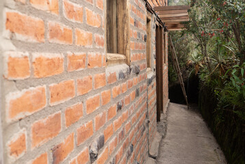 Red brick exterior of a structure built on a concrete slab with wooden window frame and door jambs in the middle of a lush dense jungle ecosystem
