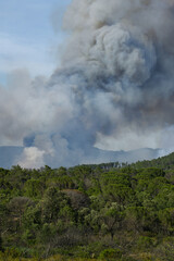 Wildfire in the Massifs des Maures, South of France