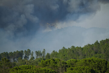Wildfire in the Massifs des Maures, South of France