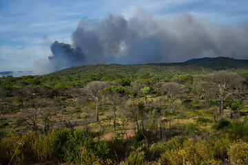 Wildfire in the Massifs des Maures, South of France