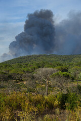 Wildfire in the Massifs des Maures, South of France