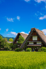 【縦写真】白川郷の美しい風景 © yu_photo