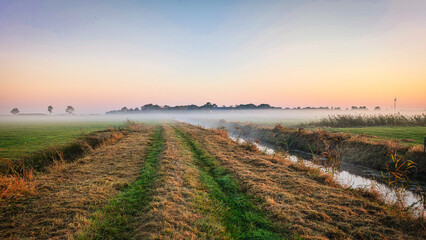 Field in morning mist