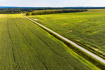 Aerial view of corn fields separated by a highway