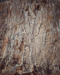 texture