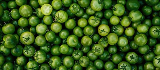 Green Tomatoes Seen From Above