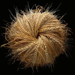 Obraz premium Close-Up Images of Straw Bales: Isolated, Detailed, and Realistic