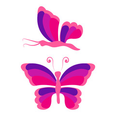 Butterfly with open wings and closed wings. Vector illustration isolated on white background.