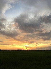 Golden Hour over Green Fields
