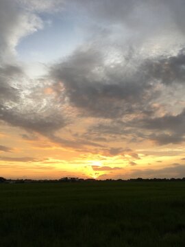 Golden Hour over Green Fields