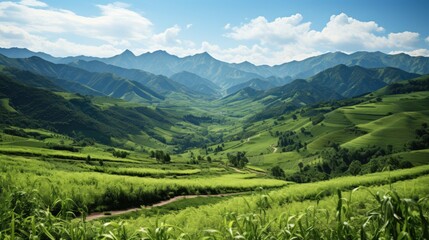 Obraz premium meadow in the mountains HD 8K wallpaper Stock Photographic Image
