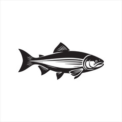 Fototapeta premium Chum salmon Fish Vector illustration in black and white - Fish Clipart Design 