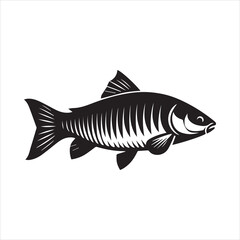 Fototapeta premium Grass carp Fish Vector illustration in black and white - Fish Clipart Design 