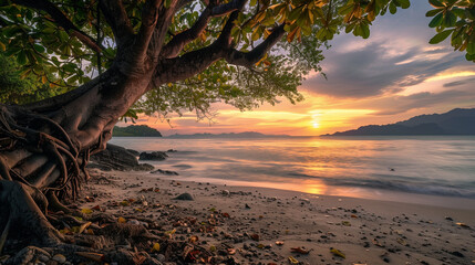 Fototapeta premium Tranquil sunset behind tree on sandy beach with beautiful coast and waves, tropical nature concept