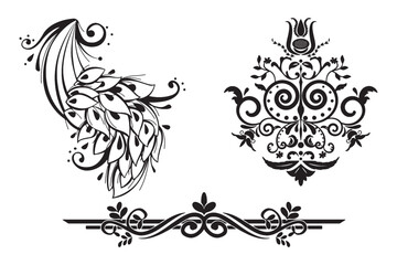 Fototapeta premium Floral decoration elements hand drawn illustration.