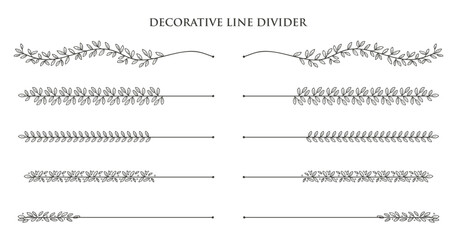 Hand - drawn nature floral vine line divider for text layout separator decoration element collection.Vector illustration