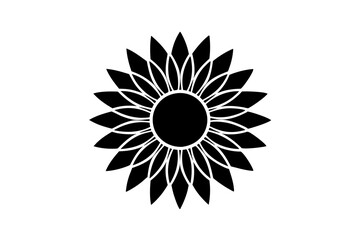 sunflower isolated on white