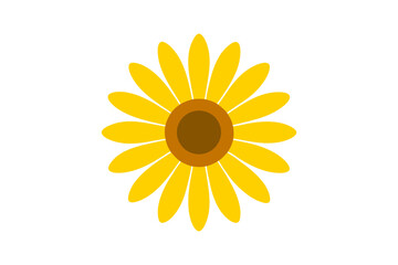 sunflower isolated on white