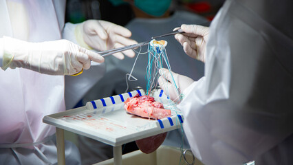 A team of surgeons are practicing artificial heart valve replacement surgery. Sutures are placed...