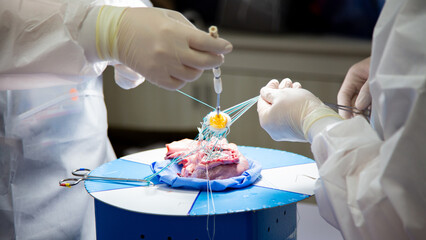 A team of surgeons are practicing artificial heart valve replacement surgery. Sutures are placed...
