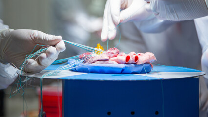 A team of surgeons are practicing artificial heart valve replacement surgery. Sutures are placed...