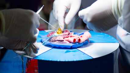 A team of surgeons are practicing artificial heart valve replacement surgery. Sutures are placed...